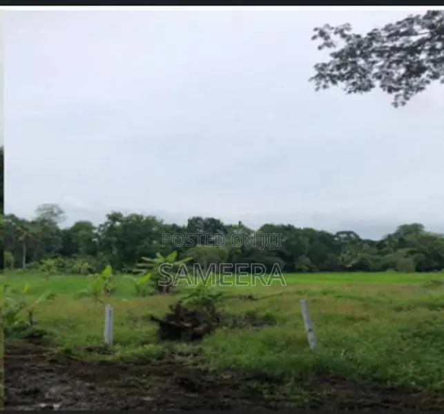 Land For Sale In Kurunegala