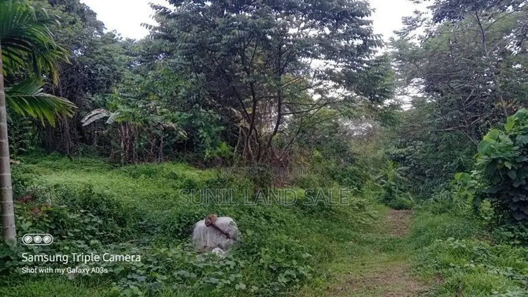 168 Perches Land for Sale in Padukka