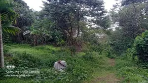 168 Perches Land for Sale in Padukka