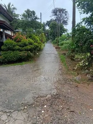 168 Perches Land for Sale in Padukka