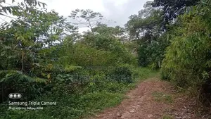 168 Perches Land for Sale in Padukka