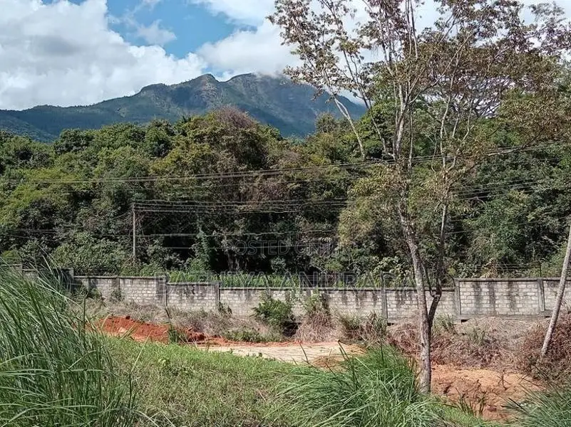 බෙලිහුල්ඔය සර සරසවිය අසල මීදුම් කදුවලින් වටවු ඉඩම