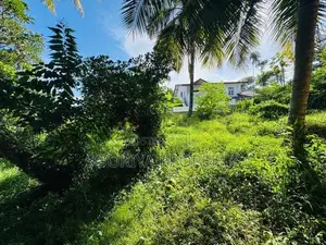 Commercial Land for Sale in Piliyandala