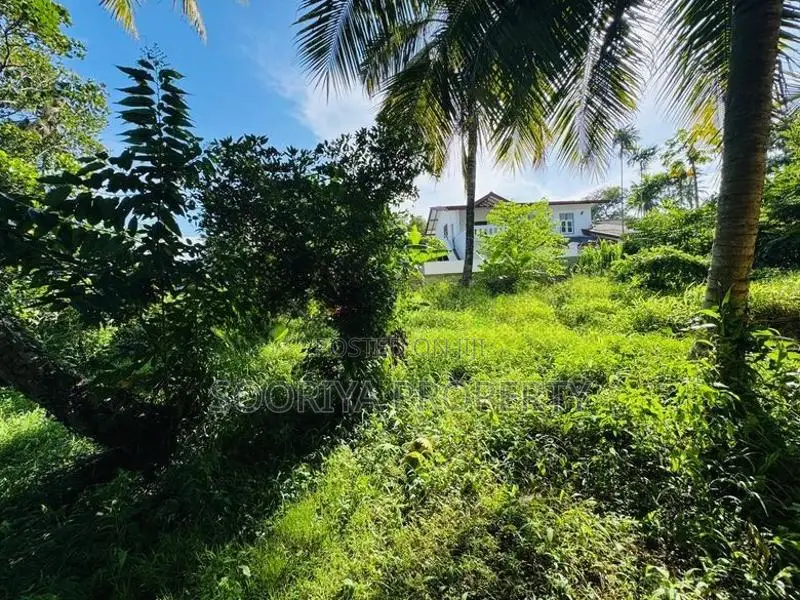 Commercial Land for Sale in Piliyandala