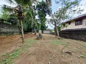 15P Bare Land For Sale In Wickramasinghepura