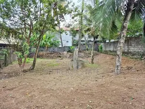 15P Bare Land For Sale In Wickramasinghepura