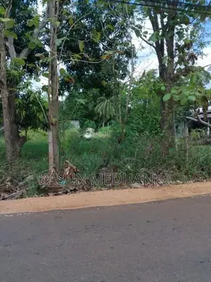 Land for Sale in Jaya Mawatha, Isurupura.