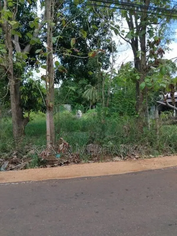 Land for Sale in Jaya Mawatha, Isurupura.
