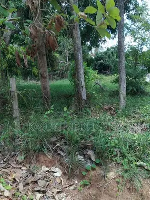 Land for Sale in Jaya Mawatha, Isurupura.