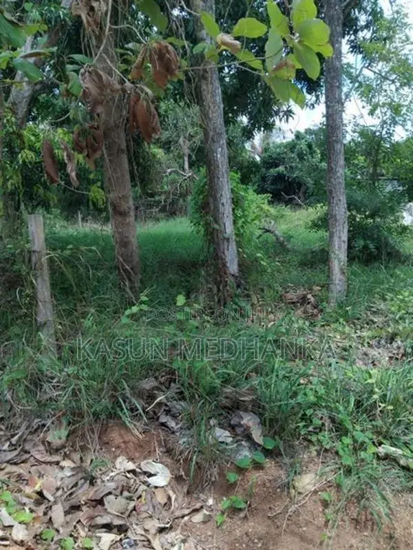 Land for Sale in Jaya Mawatha, Isurupura.