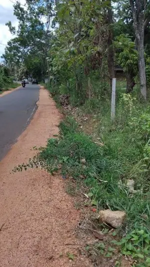 Land for Sale in Jaya Mawatha, Isurupura.