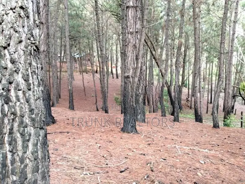 Kithal Ella Land For Sale (NK11850)