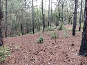 Kithal Ella Land For Sale (NK11850)