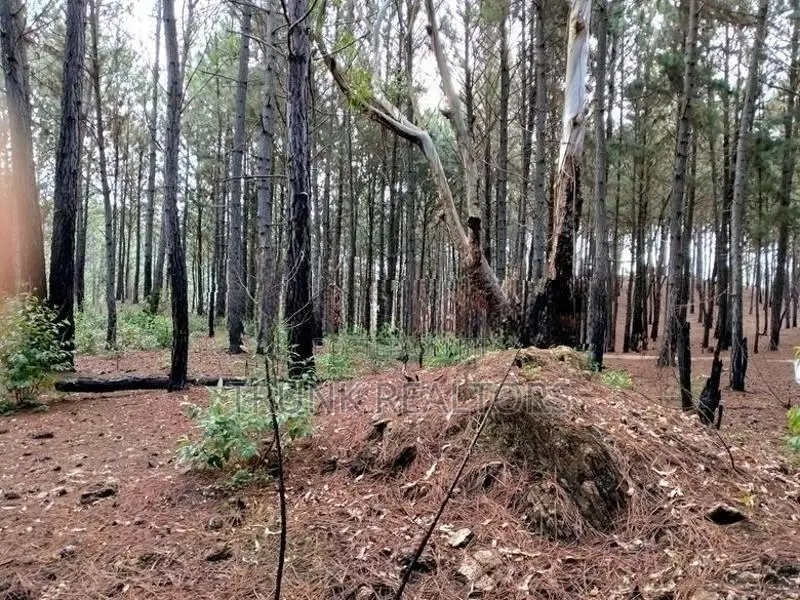 Kithal Ella Land For Sale (NK11850)