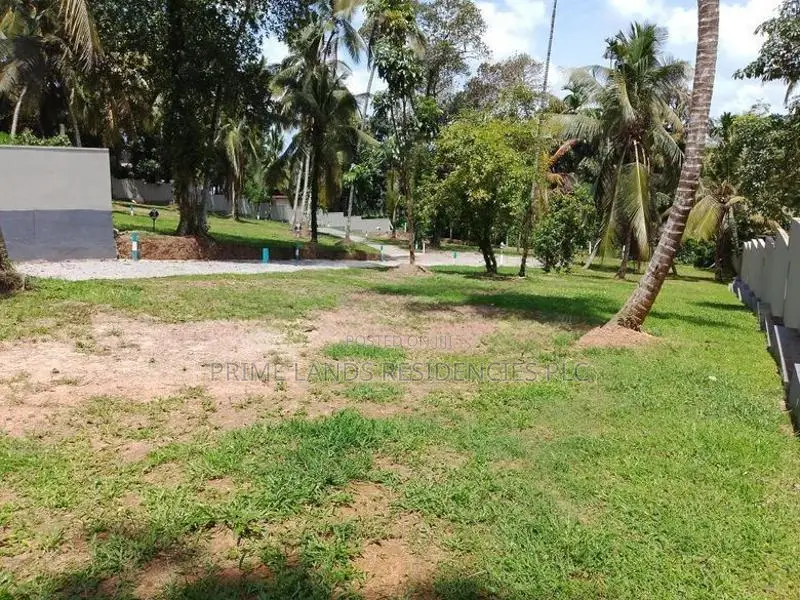 හෝමාගමින් ඉඩමක්