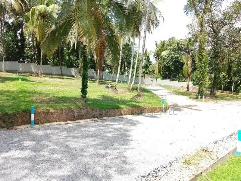හෝමාගමින් ඉඩමක්