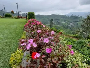 Bungalow for Sale in Nuwara eliya