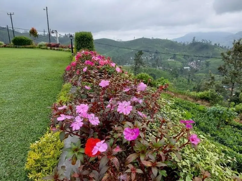 Bungalow for Sale in Nuwara eliya