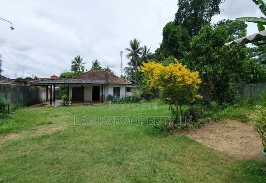 Prime 85 Perch Residential & Commercial Land for Sale