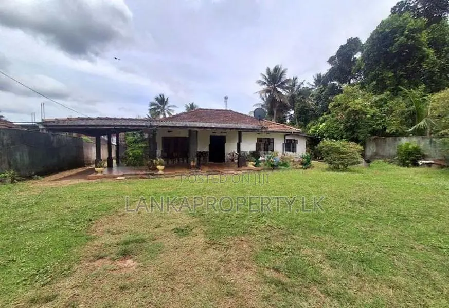 Prime 85 Perch Residential & Commercial Land for Sale