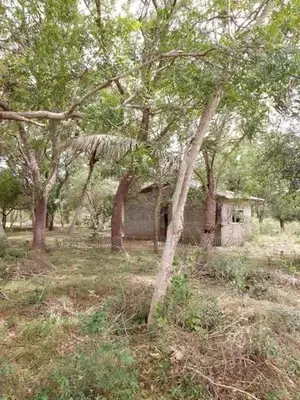 Anuradhapura House and land for sale