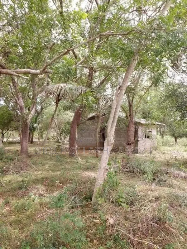 Anuradhapura House and land for sale