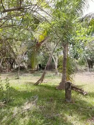 Anuradhapura House and land for sale