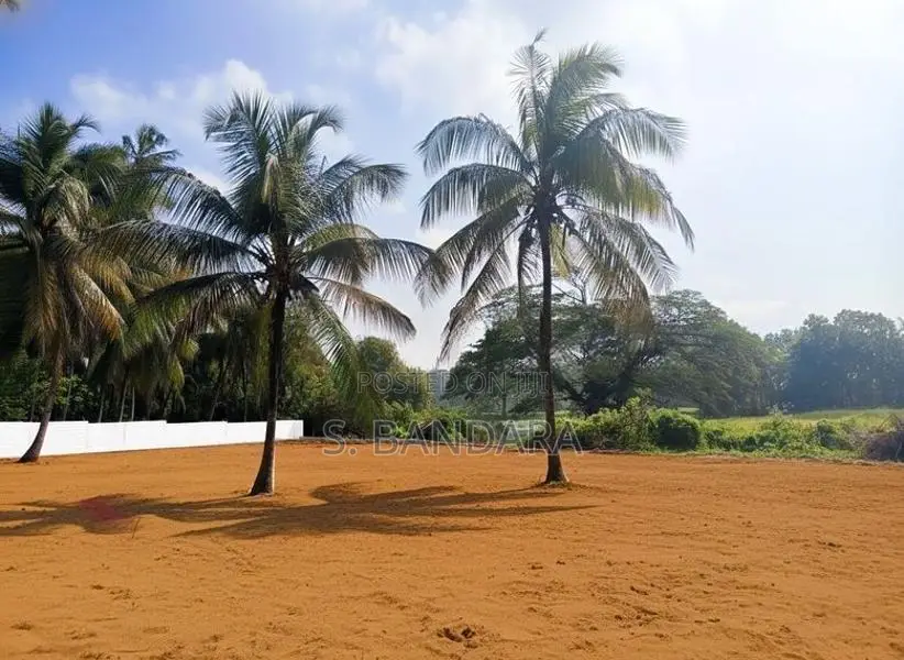 Land for Sale in Kurunagala M Elsiripura Y 17