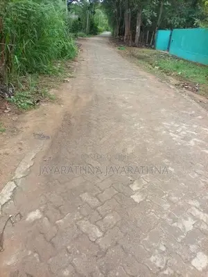 Land for Sale Buttala