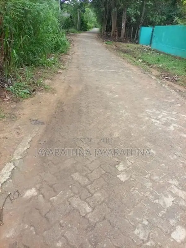 Land for Sale Buttala