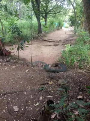 Land for Sale Buttala