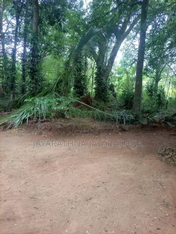 Land for Sale Buttala