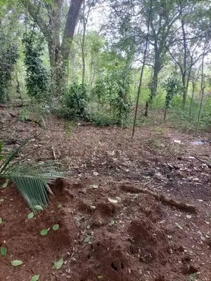 Land for Sale Buttala
