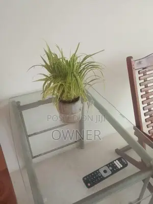 Luxury Annex for Rent in Makola