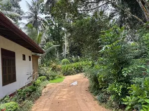 House For Rent In Hadapangoda