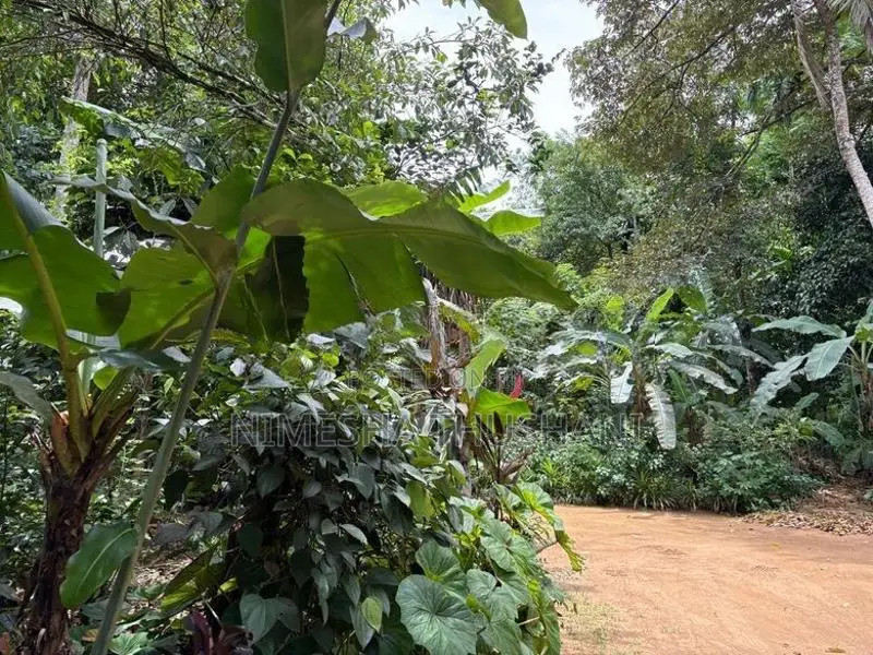 House For Rent In Hadapangoda