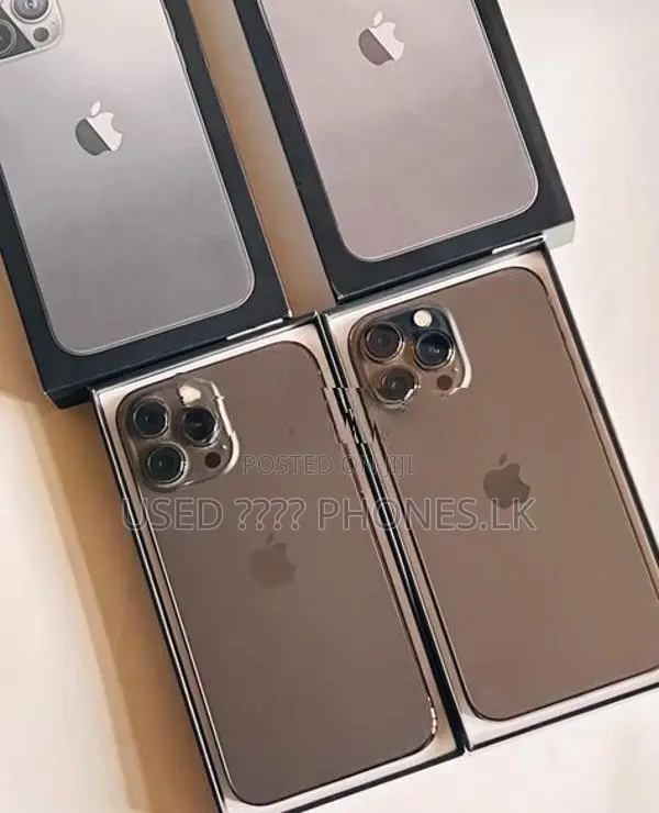 Apple iPhone 13 Pro Max 256GB (Used)