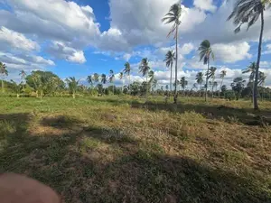 640 Perches Agriculture Land For Sale Nilaveli