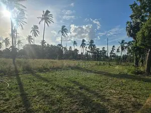 640 Perches Agriculture Land For Sale Nilaveli