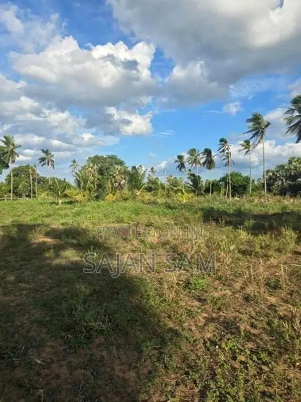 640 Perches Agriculture Land For Sale Nilaveli