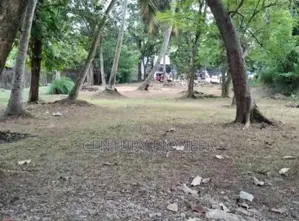Land for Sale in Katana