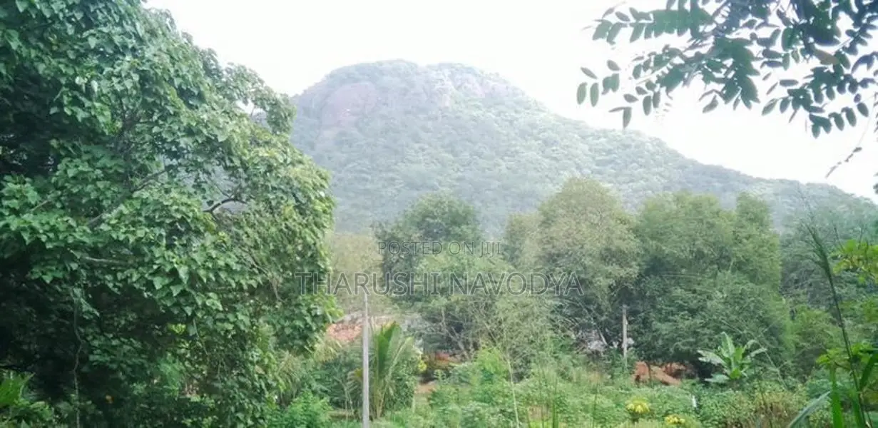 කොටවෙහෙරගල විහාරස්ථානය ආසන්නයේ වටිනා ඉඩමක් විකිණීමට