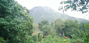 කොටවෙහෙරගල විහාරස්ථානය ආසන්නයේ වටිනා ඉඩමක් විකිණීමට
