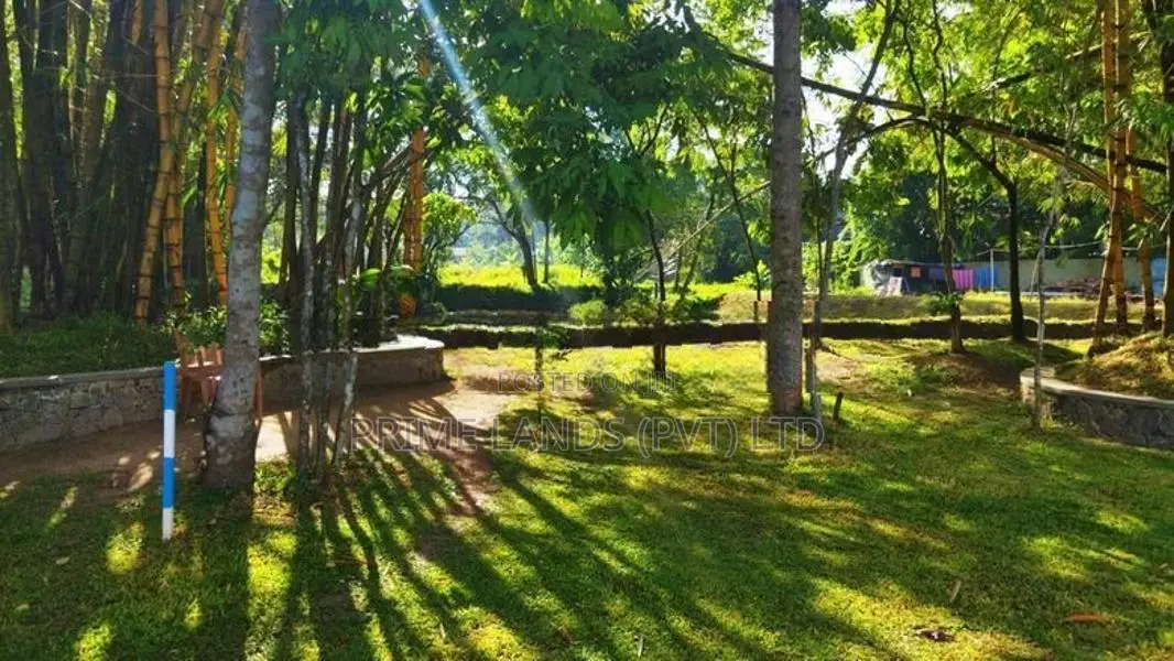Land in Gampaha Town