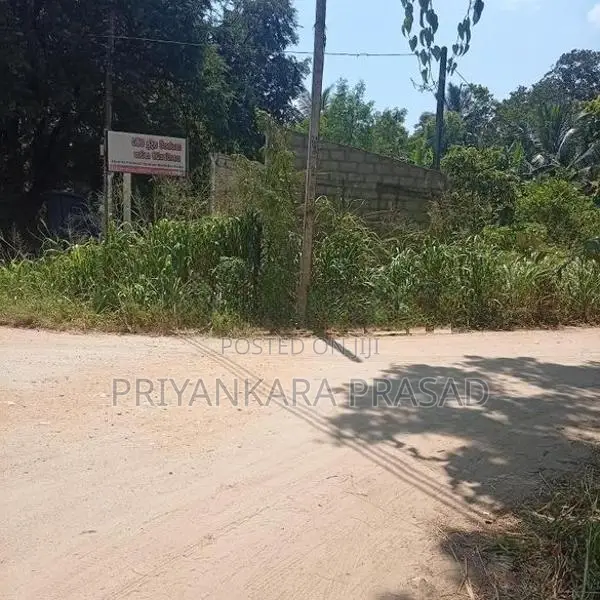 Land for Sale - Wellawaya