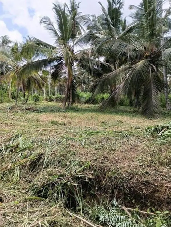 නාරම්මල මැටියගනේ ඉඩමක් විකිණීමට