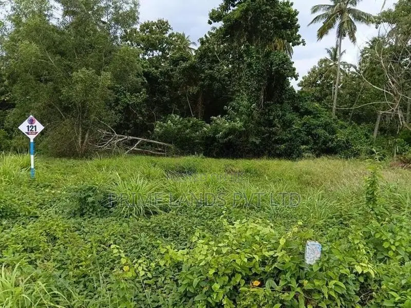 නාරම්මල මැටියගනේ ඉඩමක් විකිණීමට