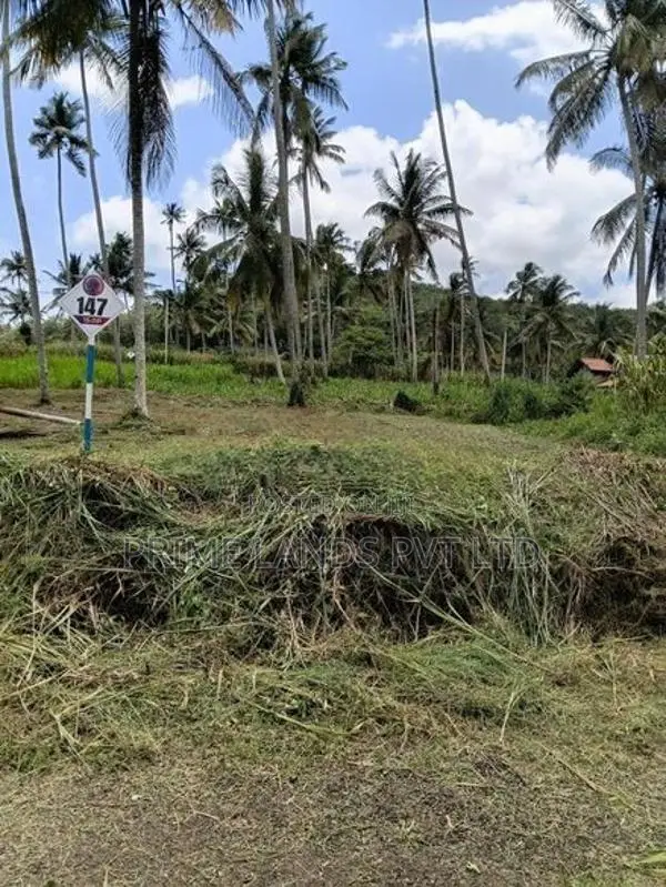 නාරම්මල මැටියගනේ ඉඩමක් විකිණීමට