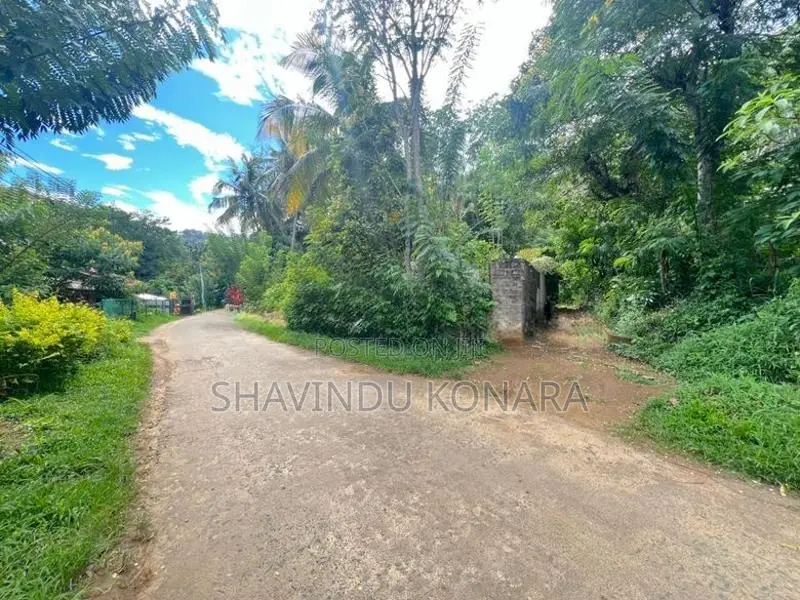 බදුල්ල අවට ඉඩමක්