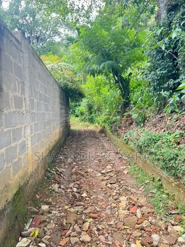 බදුල්ල අවට ඉඩමක්